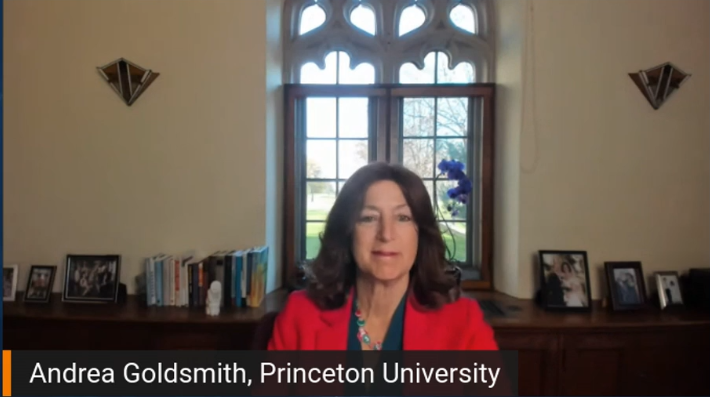 Andrea Goldsmith, Princeton University
